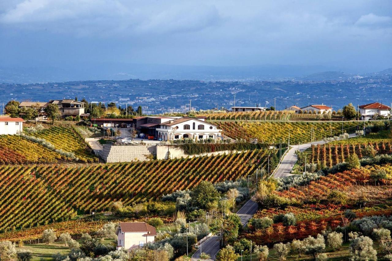 Cantine Iannella Torrecuso ภายนอก รูปภาพ